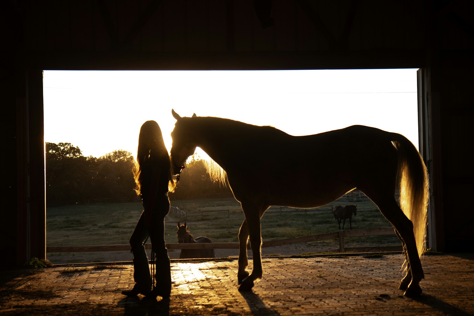A woman standing next to a horse in a barn