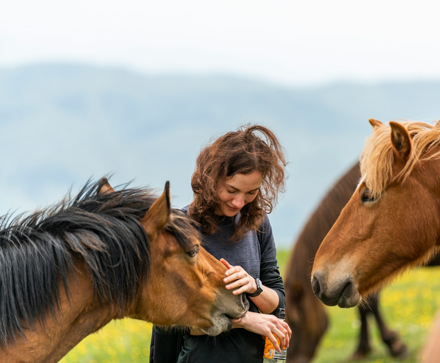 A woman standing next to a group of horses
