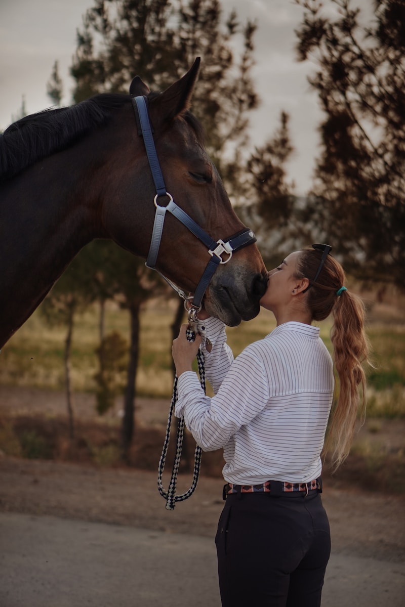 woman in white and black striped long sleeve shirt kissing brown horse during daytime